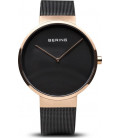 Bering 14539-166