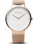 Bering 15540-364