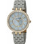 Anne Klein 2620GYGB