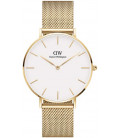 Daniel Wellington Petite Evergold 36mm