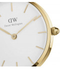 Daniel Wellington Petite Evergold 36mm