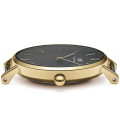 Daniel Wellington Petite Evergold 28mm