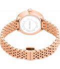 Swarovski Certa 5672981