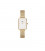 Daniel Wellington Quadro Pressed Evergold
