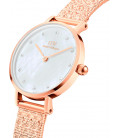 Daniel Wellington Petite Lumine Pressed Piano (white) Melrose